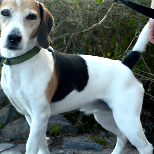 Authenticatiemiddelen met FIDO-certificering