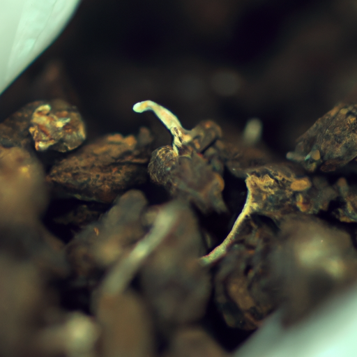 Wet tegen kat-en-muisspel designerdrugs
